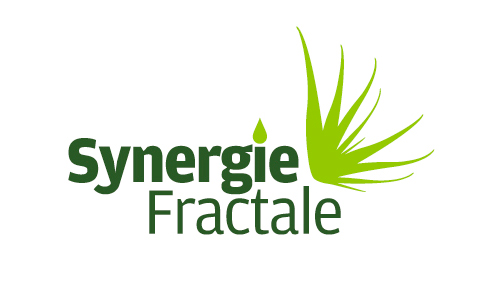 Synergie fractale